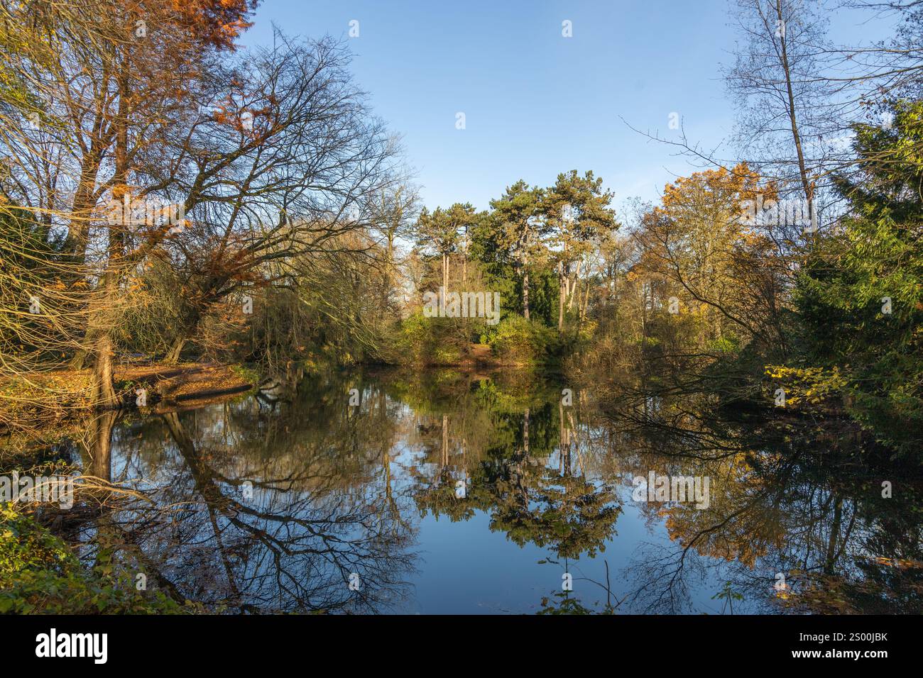 Julianapark in Utrecht, Niederlande. Der Juliana Park ist ein romantischer Stadtpark mit vielen alten Bäumen. Es ist ein beliebter Stadtpark, der das ganze Jahr über voll ist Stockfoto