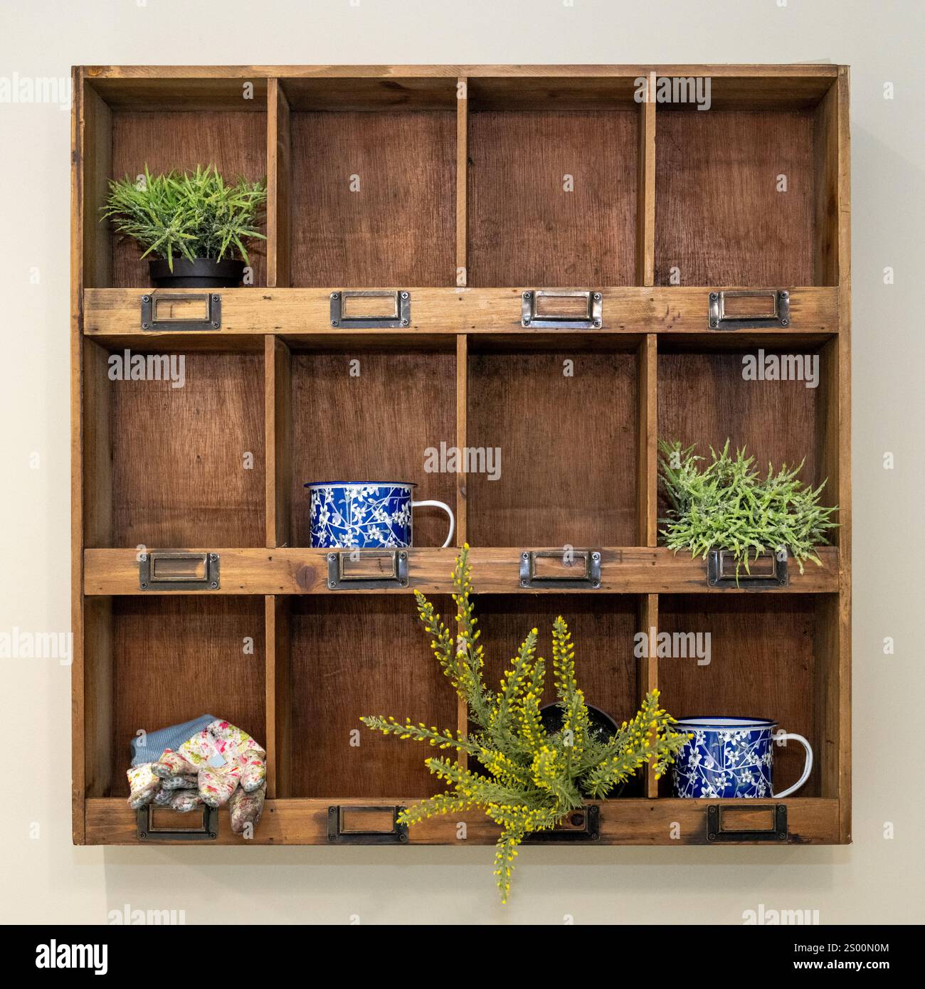 Eine hölzerne Wandwand bietet Platz für verschiedene kleine Topfpflanzen und emaillierte Tassen. Stockfoto