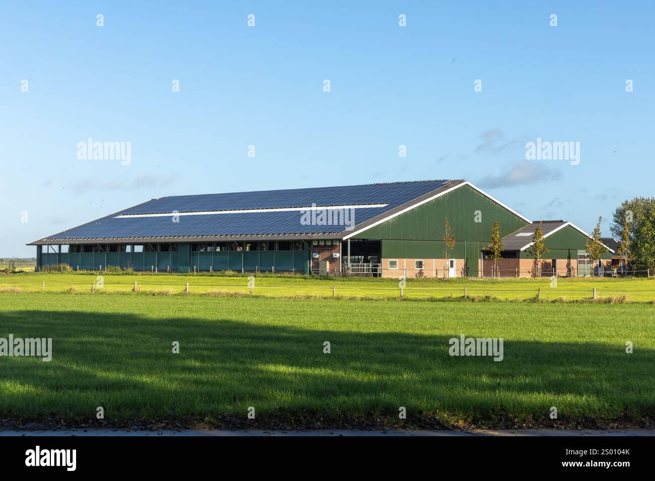 Ein niederländischer Bauernhof auf einer Wiese mit vielen Sonnenkollektoren auf dem Dach Stockfoto