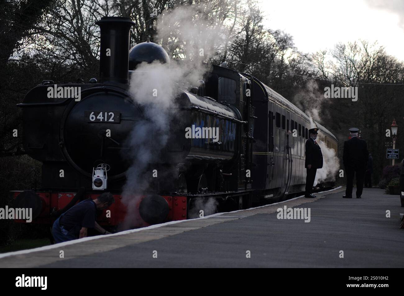 '6412' an der Staverton Bridge Station mit einem Auto für Buckfastleigh. Stockfoto