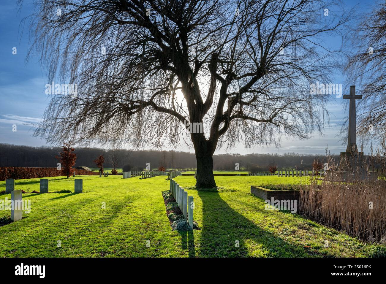Prowse Point Military Cemetery, World war One Begräbnisstätte im Ypern, das an der Westfront des Ersten Weltkriegs in Ploegsteert/Plugstreet, Hennegau, Belgien, liegt Stockfoto