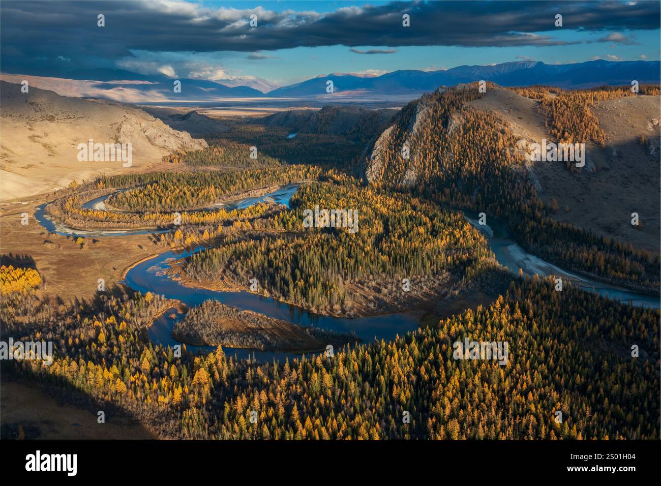 Panoramablick auf einen Fluss, der bei schönem Herbstwetter durch einen farbenfrohen Herbstwald in den Bergen fließt. Stockfoto