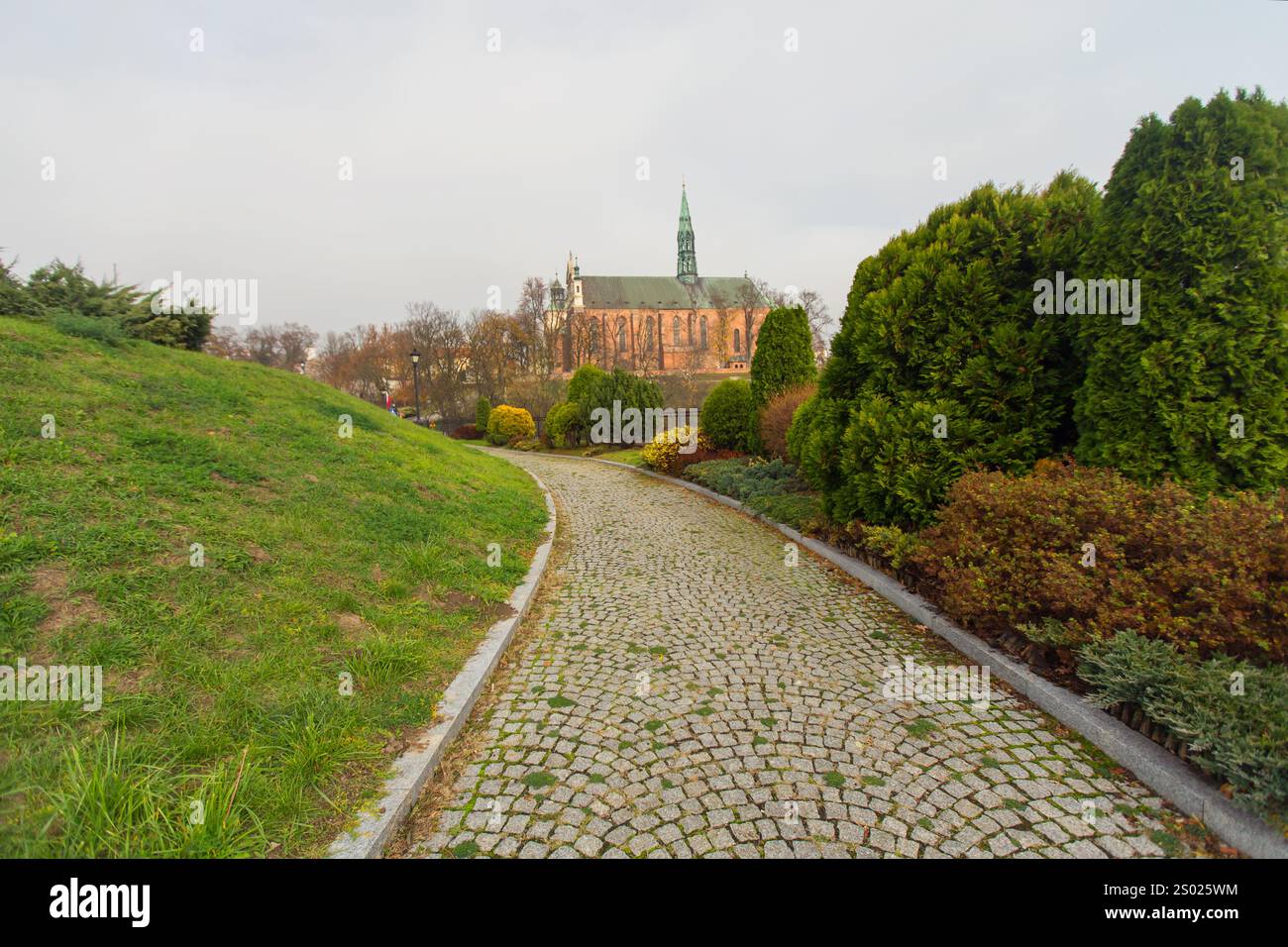 Straße in einem Park, Sandomierz, Polen Stockfoto