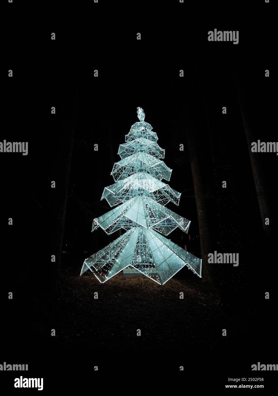 Weihnachtsbaumbeleuchtung im Wald bei Winter City Lights Stockfoto