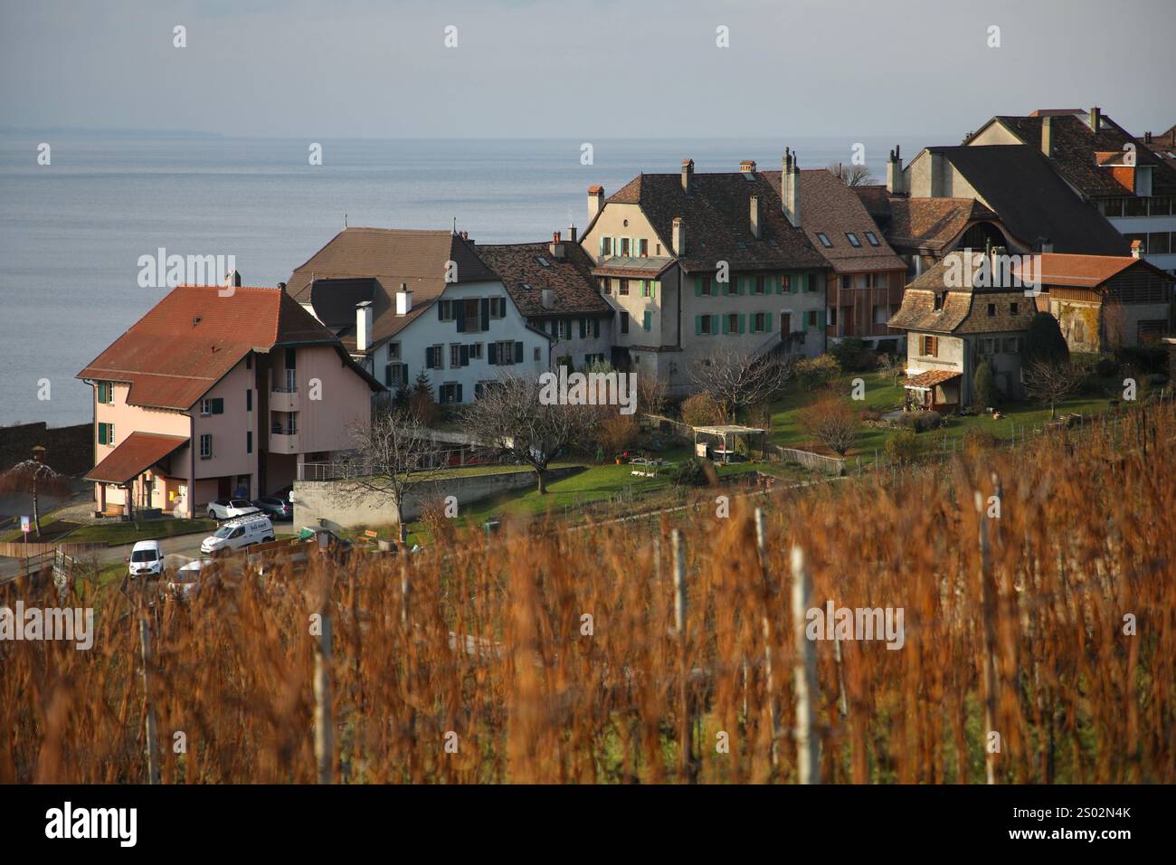 Schweiz. Dezember 2024. Der Genfer See, der größte Alpensee, und das Dorf Rivaz sind von einem Weinberg in der Schweiz aus zu sehen. Die Lavaux-Weingärten erstrecken sich über 30 km entlang des Nordufers des Genfer Sees und stammen aus dem 11. Jahrhundert. Es wurde 2007 zum UNESCO-Weltkulturerbe erklärt. (Foto: Apolline Guillerot-Malick/SOPA Images/SIPA USA) Credit: SIPA USA/Alamy Live News Stockfoto
