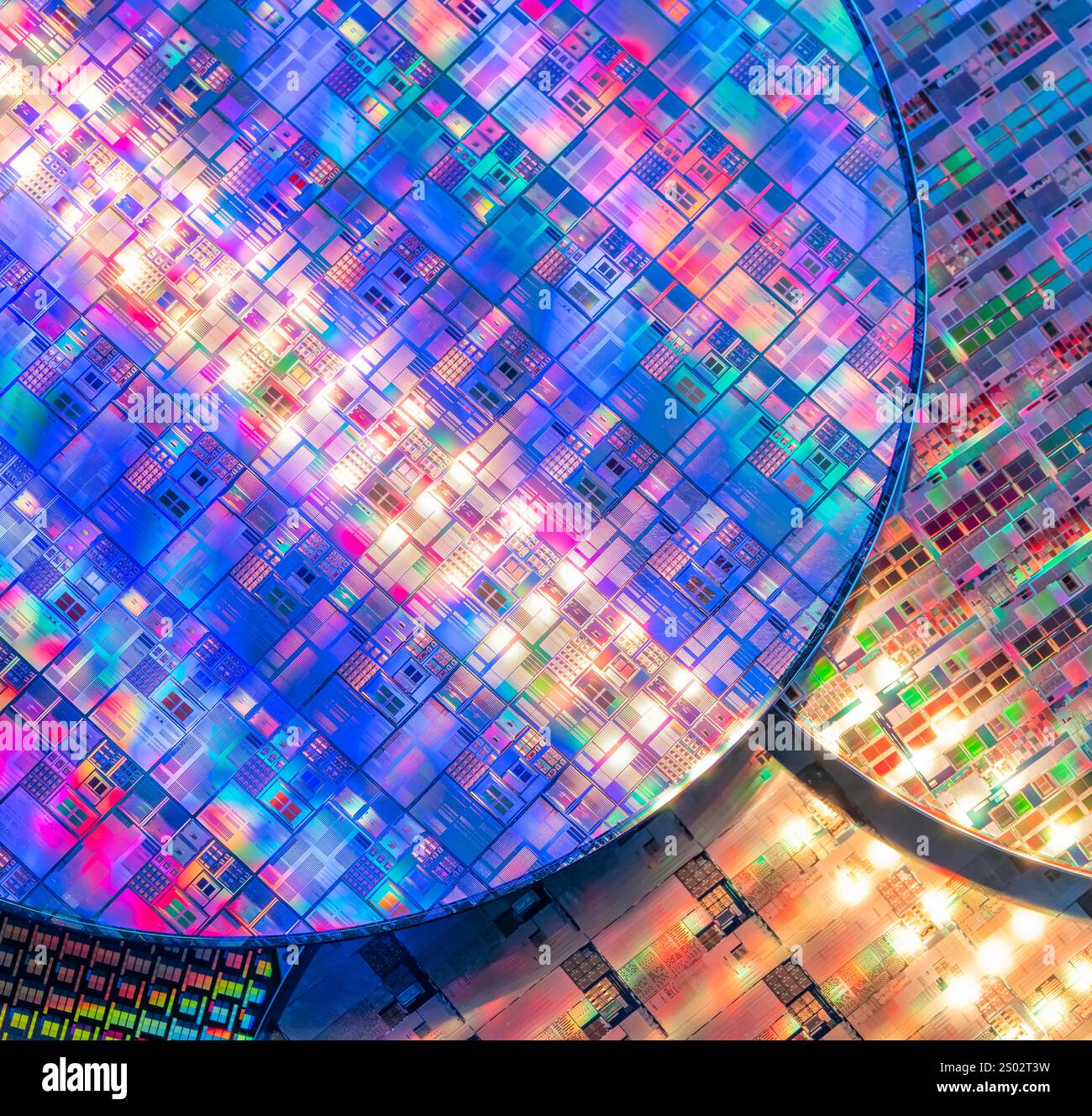 Silizium-Wafer und -Mikroschaltungen aus Halbleitermaterial, verwendet in der Elektronik zur Herstellung integrierter Schaltungen Stockfoto