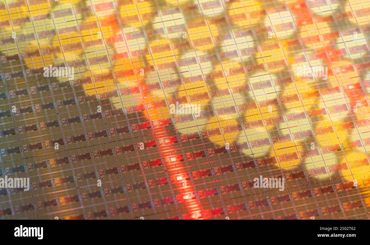 Silizium-Wafer und -Mikroschaltungen aus Halbleitermaterial, verwendet in der Elektronik zur Herstellung integrierter Schaltungen Stockfoto