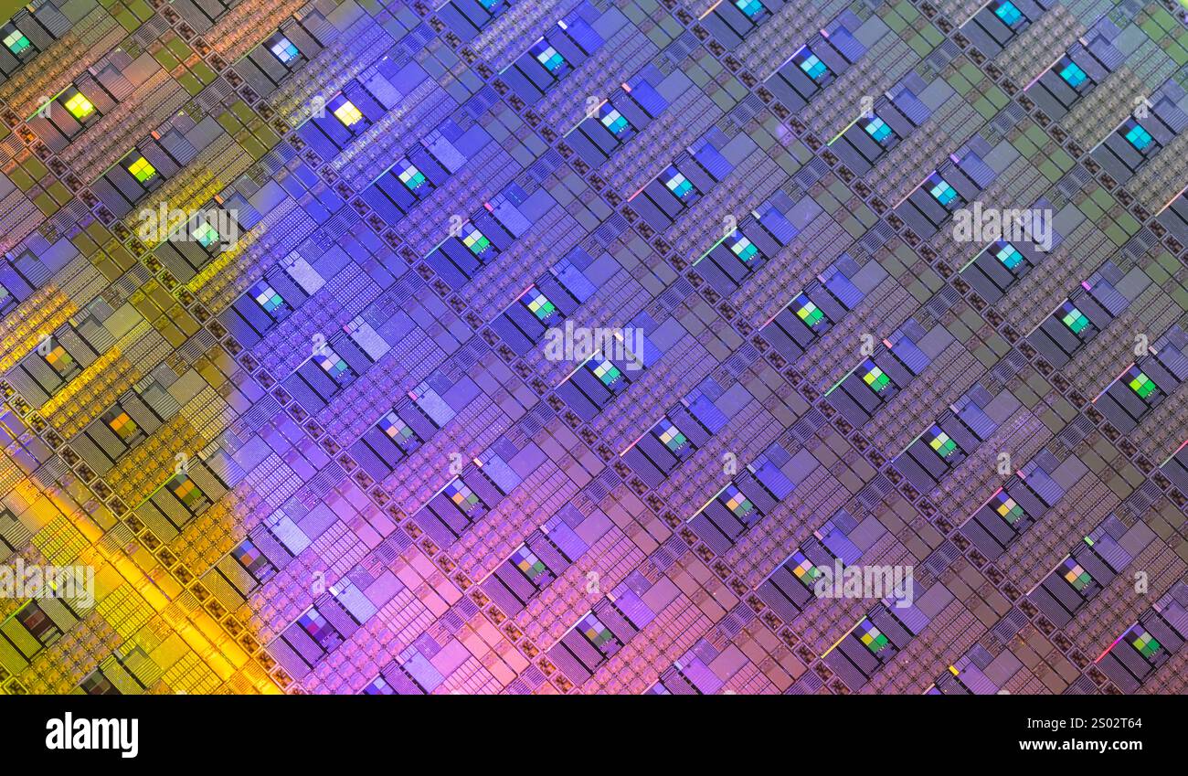 Silizium-Wafer und -Mikroschaltungen aus Halbleitermaterial, verwendet in der Elektronik zur Herstellung integrierter Schaltungen Stockfoto