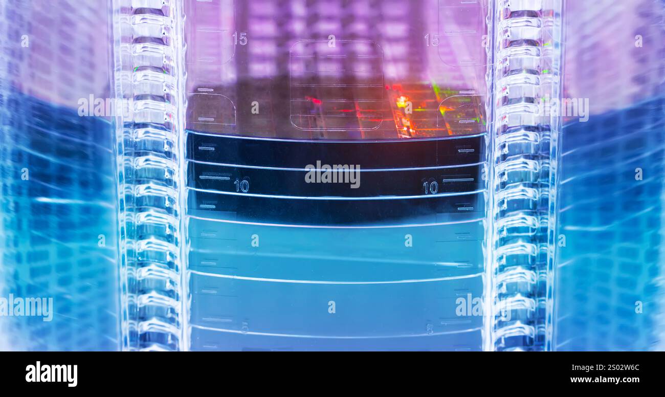 Silizium-Wafer unter Reinraumfertigung in Kunststoffhalterbox, integrierte Schaltungen zur Herstellung von CPU und GPU Stockfoto