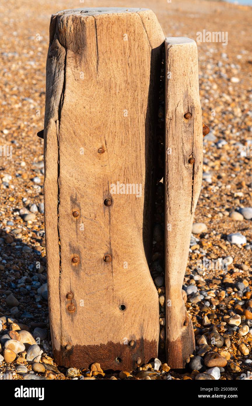 Ein verwitterter Groyne-Pfosten am Bexhill-on-Sea Beach in East Sussex, der an einem sonnigen Wintertag rostende Nägel und Küstenerosion zeigt. Stockfoto