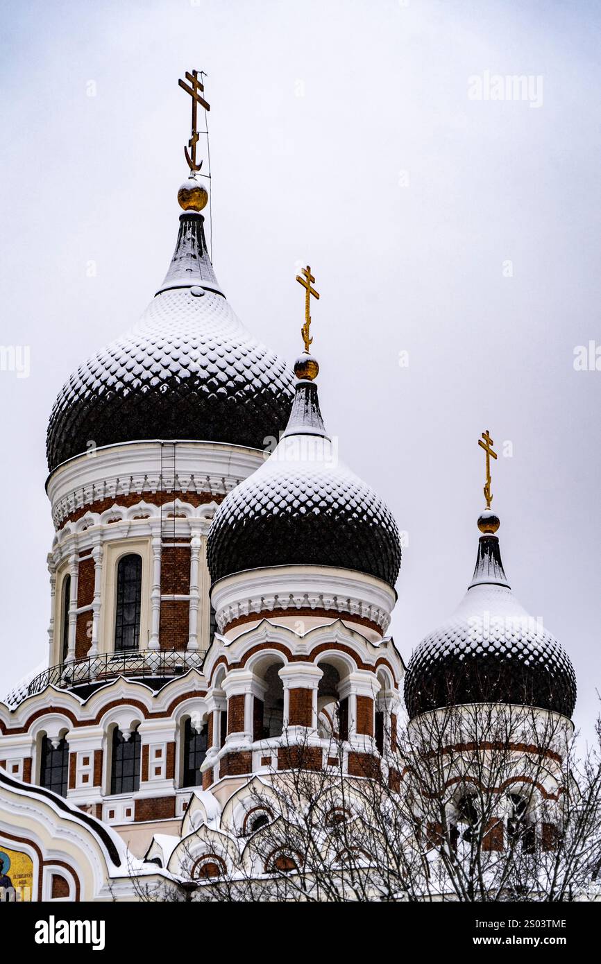 Eine Nahansicht einer Kirche mit verzierten Kuppeln, die mit Schnee bedeckt sind. Die Kuppeln haben komplizierte Muster und sind mit goldenen Kreuzen gekrönt. Die Szene ist s Stockfoto