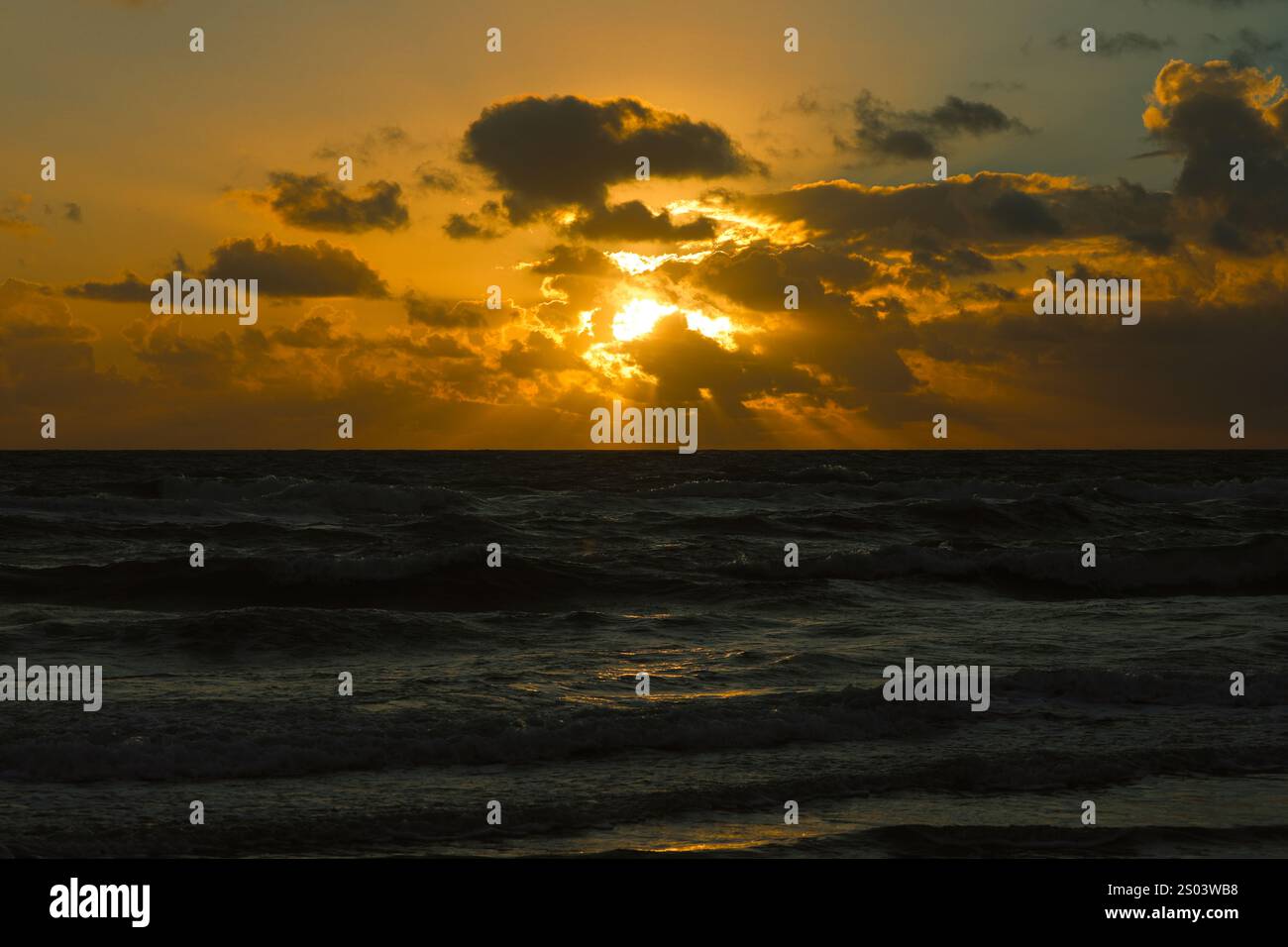 Dieses hochwertige Bild eignet sich perfekt für Naturliebhaber, Wohnkultur, Drucke und digitale Anwendungen. Eine ruhige und traumhafte Komposition mit sanftem Sonnenlicht. Stockfoto