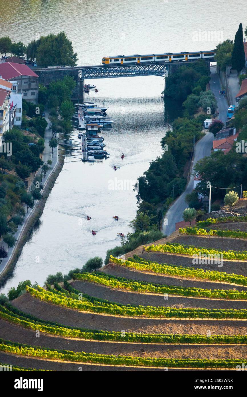 Douro-Tal, Zug und Fluss Douro. Portugal Stockfoto