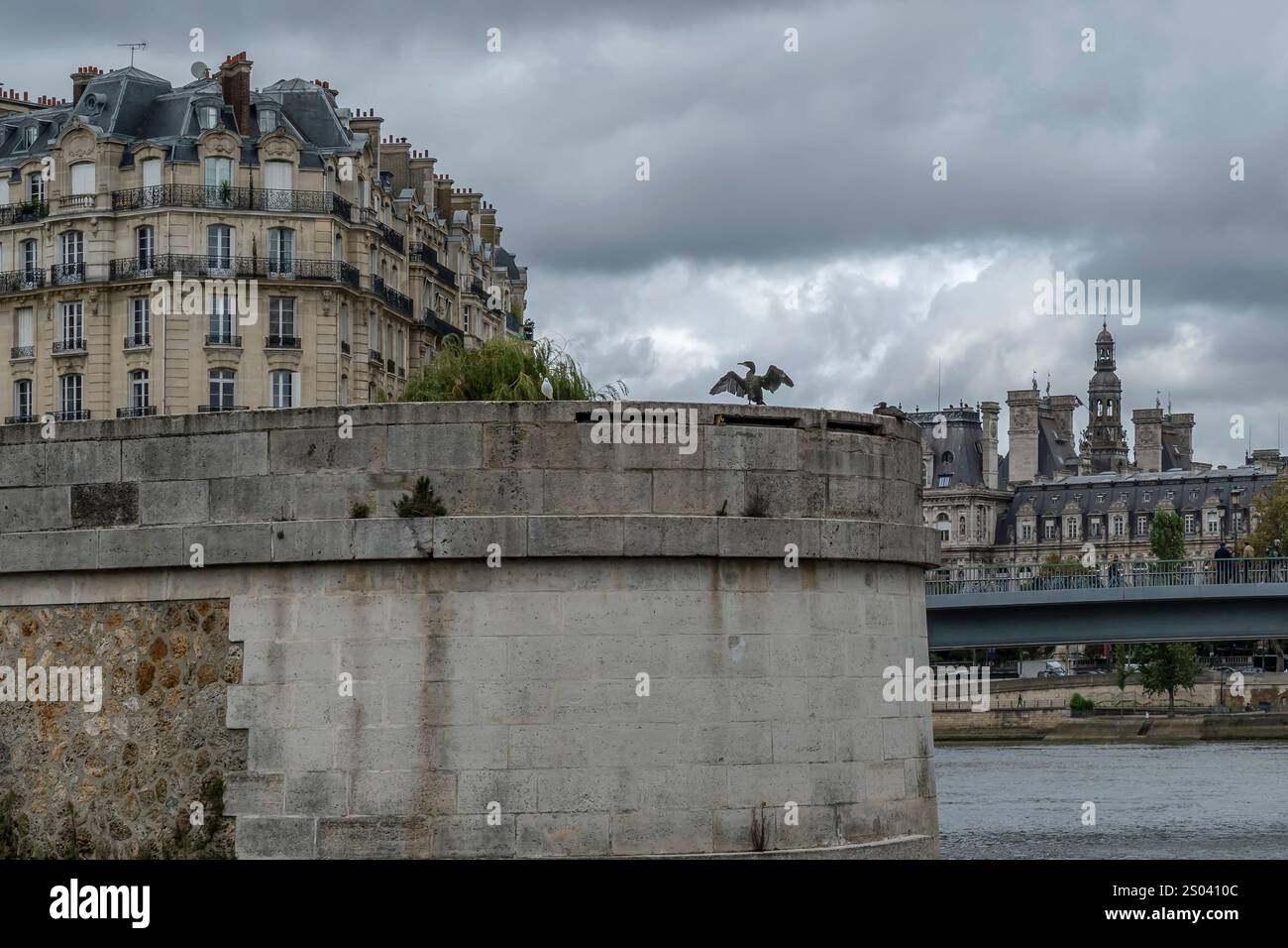 Ein großer schwarzer Vogel schlägt seine Flügel am Ufer der seine, dem historischen Zentrum von Paris, Frankreich Stockfoto