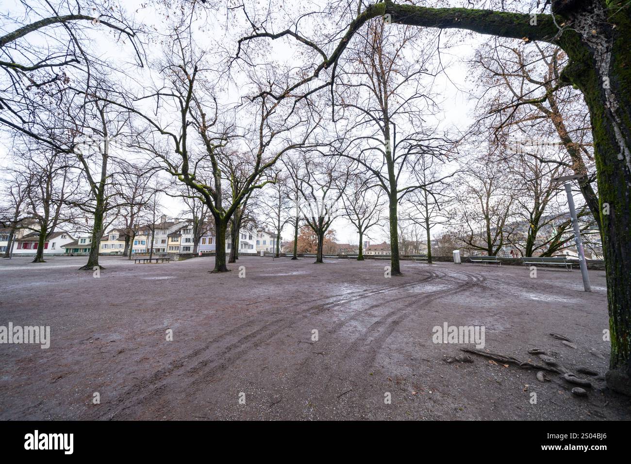 Leerer schlammiger Lindenhof-Park mit nackten Bäumen im Winter. Zürich, Schweiz Stockfoto