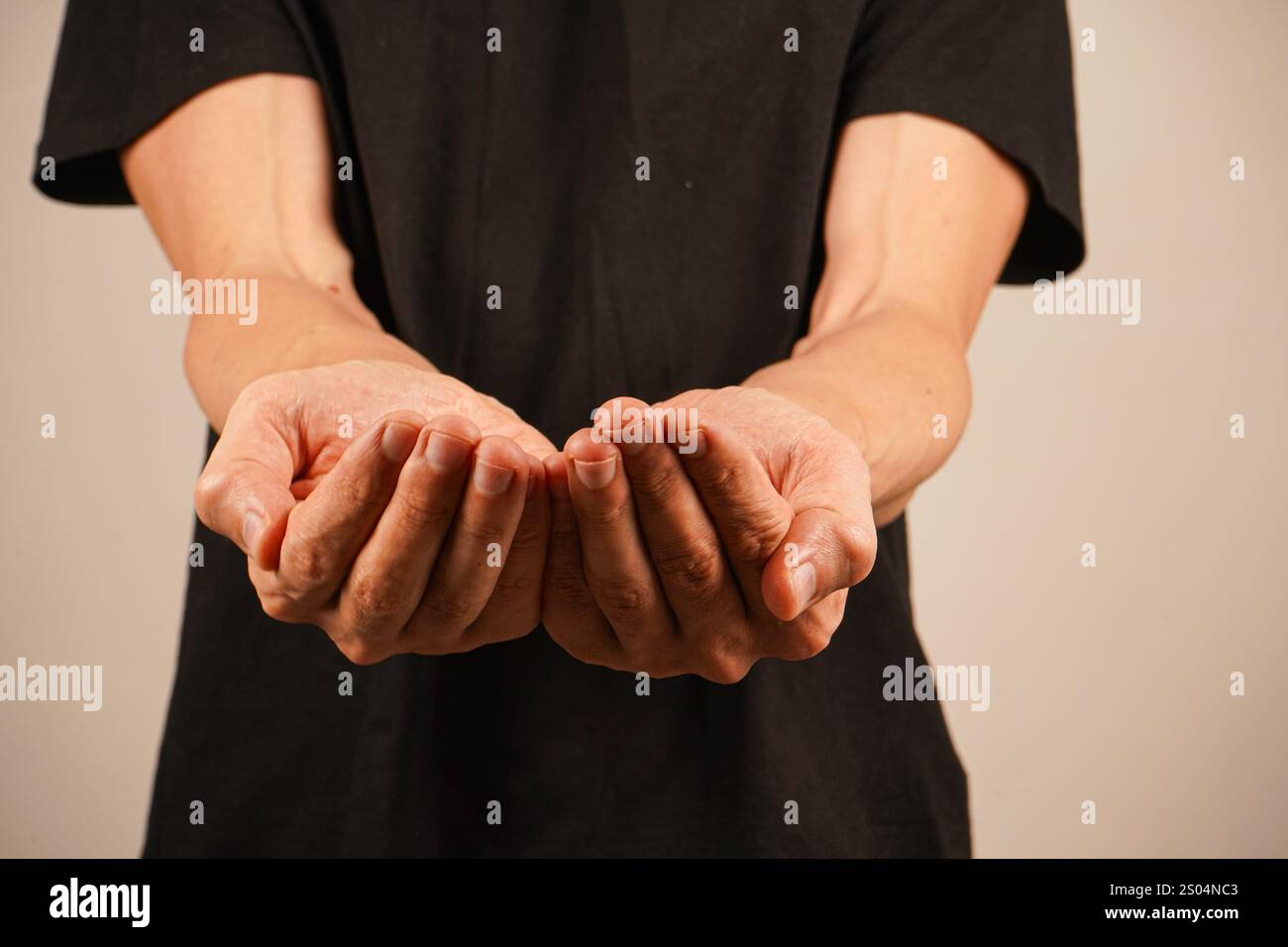 Zwei Palmen sind zusammengeschlossen und symbolisieren Pflege und Opferung. Der minimalistische Hintergrund vor einer hellen Wand verstärkt die emotionale Tiefe Stockfoto