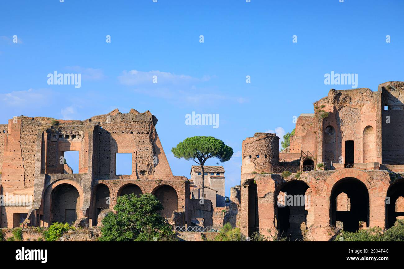 Blick auf den Palatin in Rom, Italien: Überreste des Domus Severiana. Stockfoto