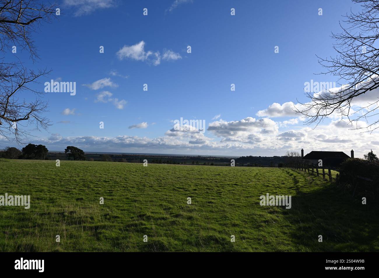 Üppig grünes landwirtschaftliches Grasfeld, das sich bis in die Ferne erstreckt Stockfoto