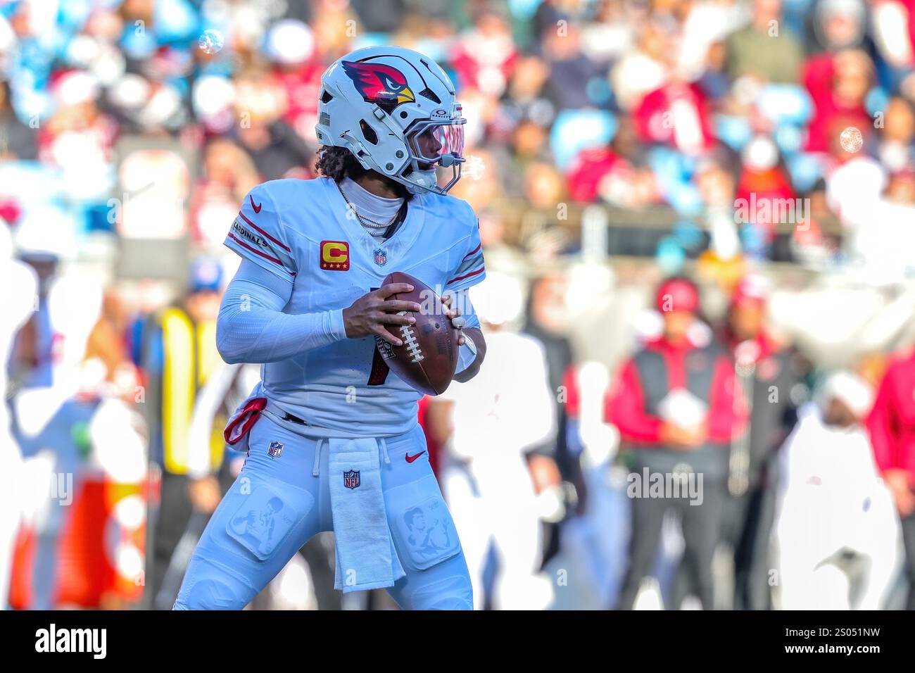 Charlotte, North Carolina, USA. Dezember 2024. Der Arizona Cardinals Quarterback KYLER MURRAY (1) fällt in der zweiten Hälfte des NFL-Spiels zwischen den Arizona Cardinals und den Carolina Panthers im Bank of America Stadium in Charlotte, NC am 22. Dezember 2024 zurück. Die Panther besiegten die Kardinäle 36''"30 in Überstunden. Die Panthers besiegten die Cardinals aus dem Playoff Contention. (Kreditbild: © Israel Anta via ZUMA Press Wire) NUR REDAKTIONELLE VERWENDUNG! Nicht für kommerzielle ZWECKE! Stockfoto