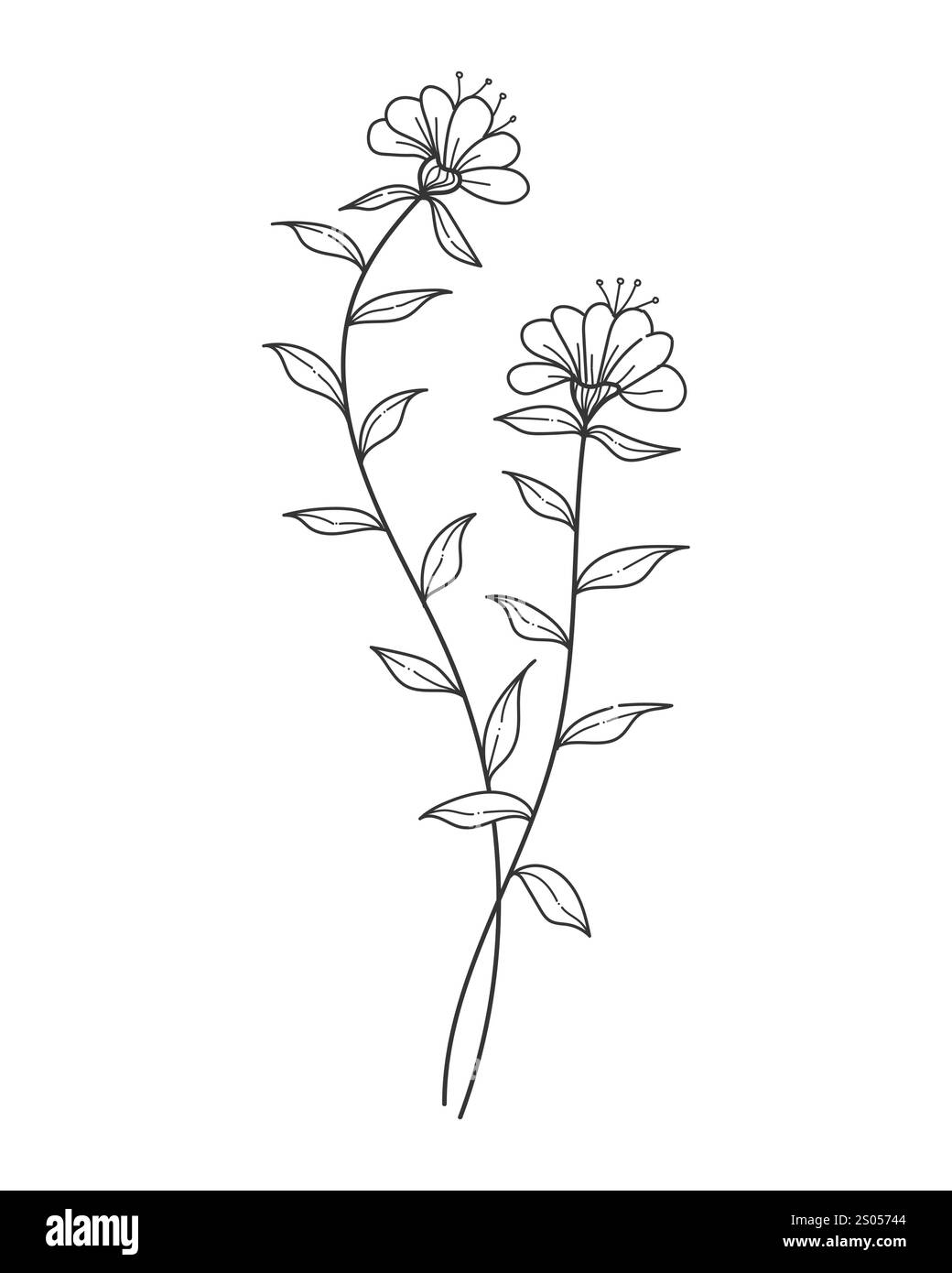 Handgezeichnete Liniengrafik blühende Blumen. Design für Einladungen, Tattoos und Hintergründe, botanische Vektorillustrationen Stock Vektor