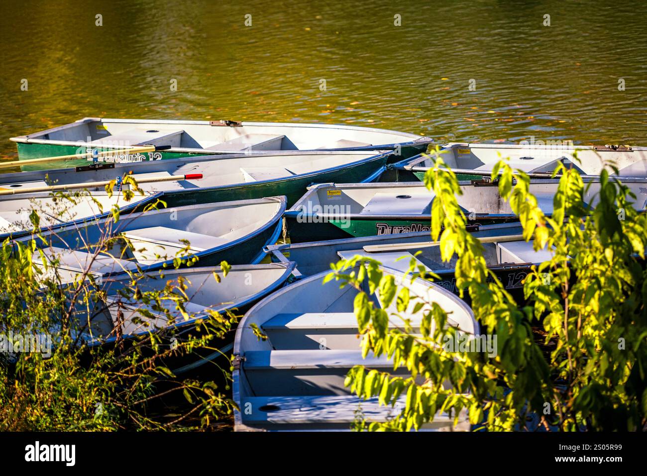 Ruderboote sammelten sich in der Nähe des berühmten Central Park Boathouse in New York City, umgeben von üppigem Grün. Stockfoto