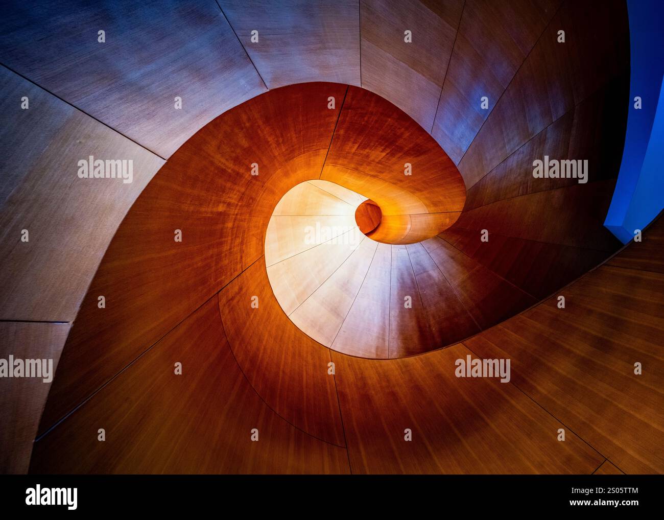 Abstrakte Wendeltreppe in der Art Gallery of Ontario in Toronto mit atemberaubenden Kurven, Licht und Schatten in einem harmonischen architektonischen Design Stockfoto