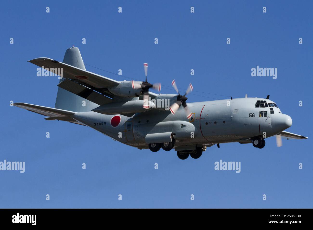 Ein Lockheed C-130R Hercules Militär-Transportflugzeug mit der japanischen Maritime Self Defence Force (JMSDF), das in der Nähe des Luftstützpunkts NAF Atsugi flog. Japan Stockfoto