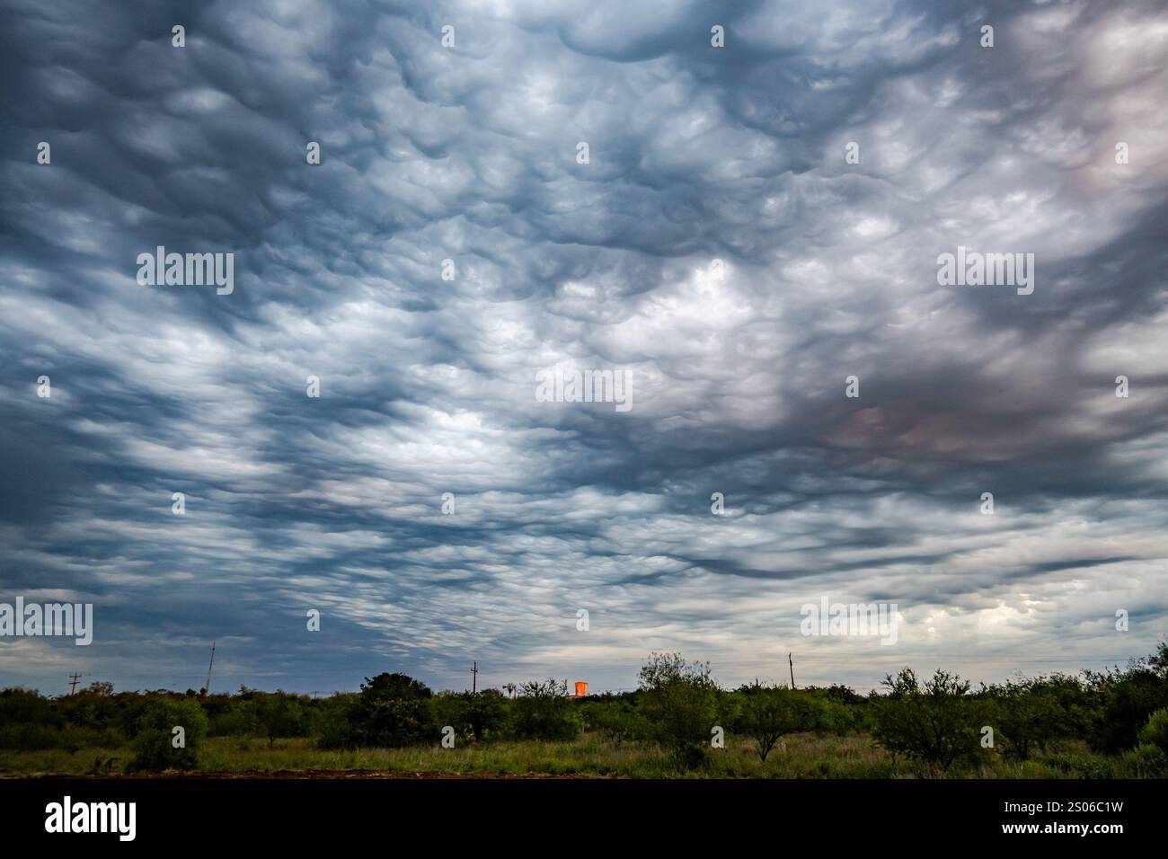Undulatus Aperitas Wolken über offenem Grasland. Südbrasilien. Stockfoto