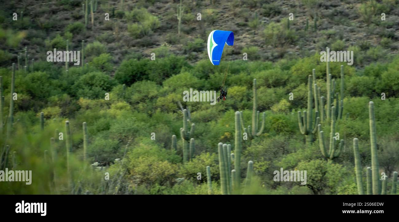 Power Glider Fliegt Durch Saguaro Cactus In Der Nähe Von Tucson Arizona Stockfoto