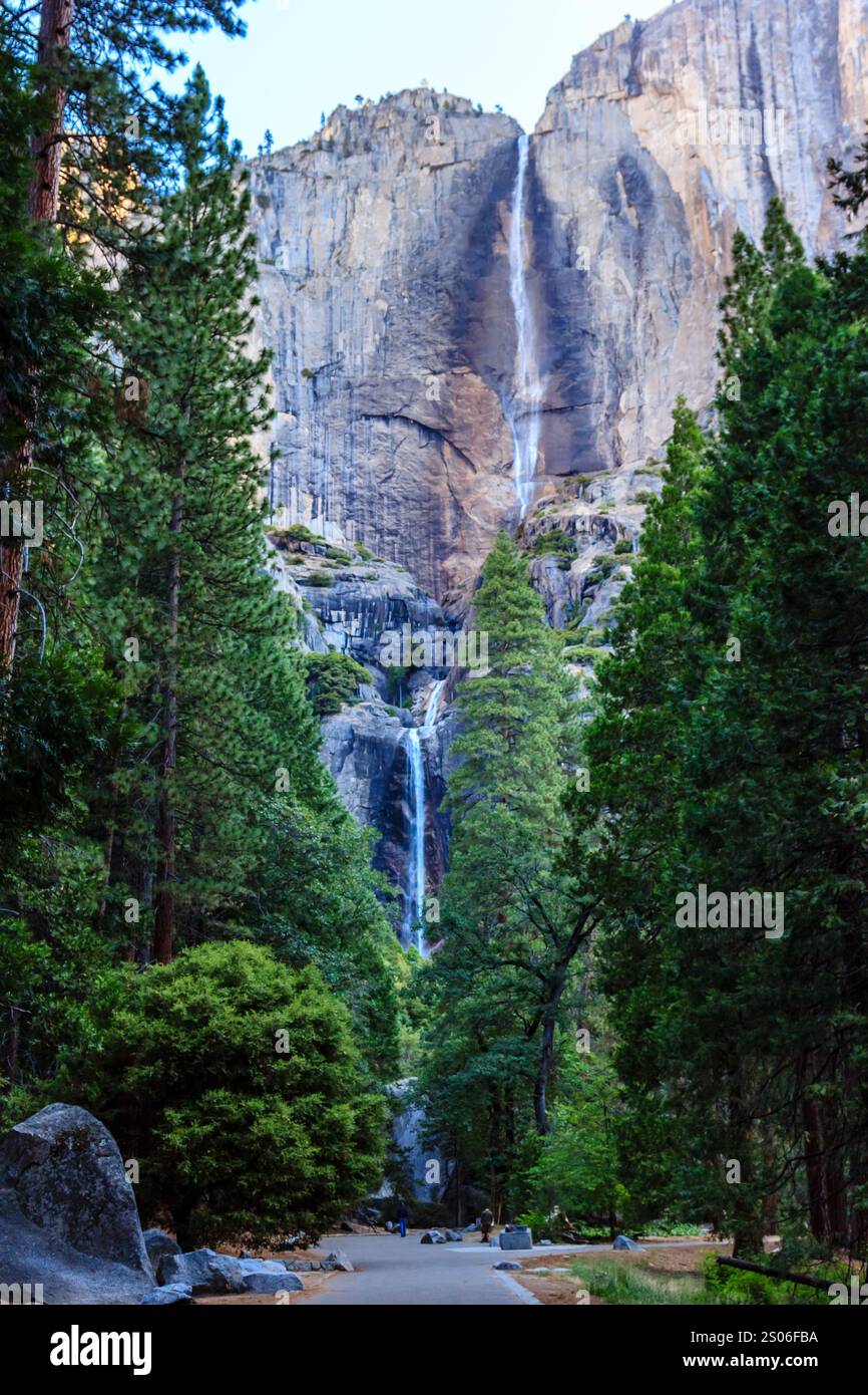 In der Ferne ist ein Wasserfall zu sehen, der von Bäumen umgeben ist. Die Szene ist friedlich und ruhig, mit einem Gefühl von Ehrfurcht und Staunen Stockfoto