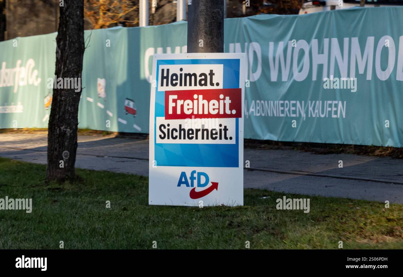 Afd Wahlprogramm 2025 Pdf München GER, Themenbild, Wahlplakate zur Bundestagswahl in Deutschland