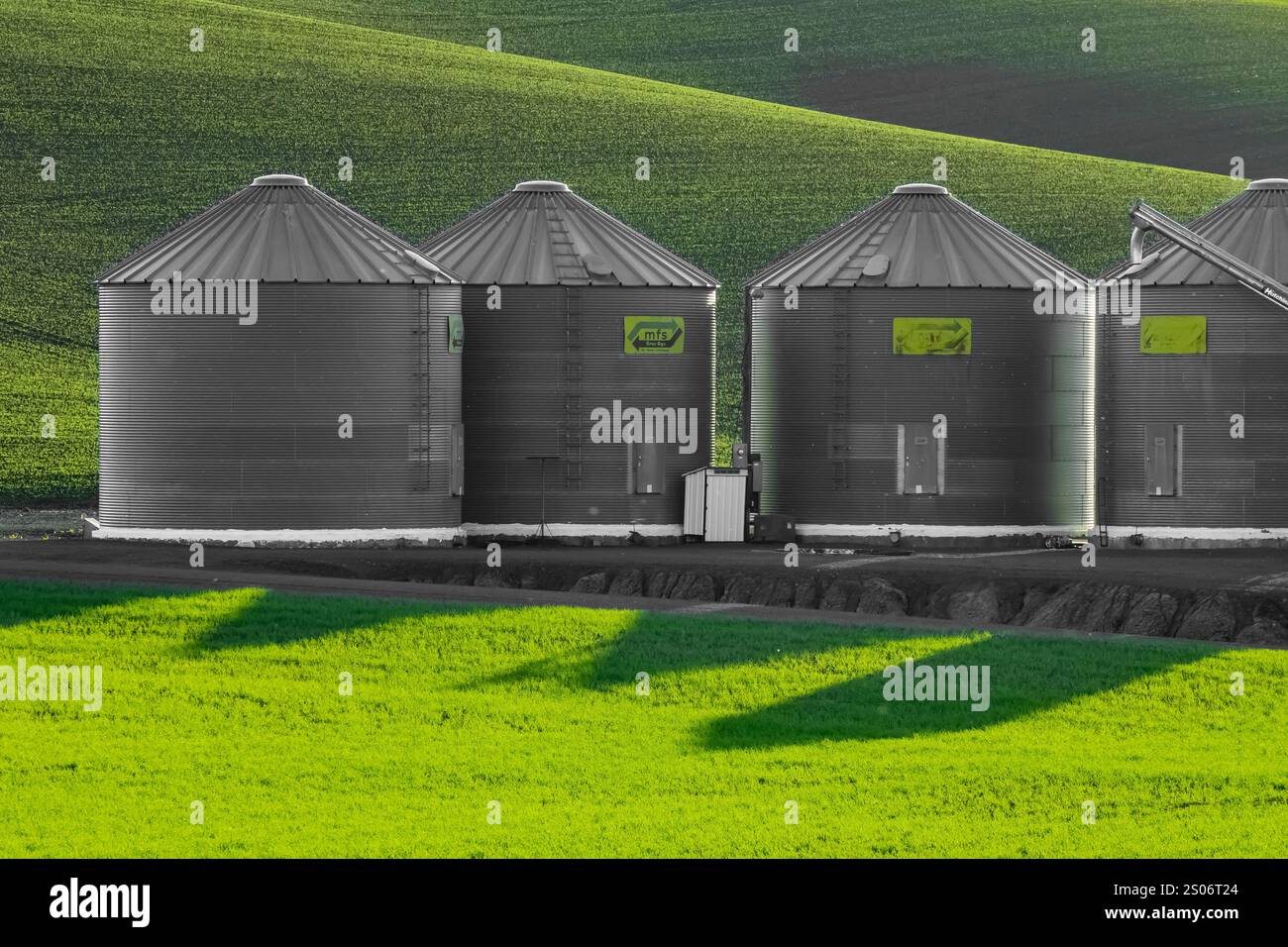 Getreidebehälter mit flachem Boden zur Lagerung von Weizen in der Region Palouse, Washington State, USA [keine Freigabe; nur redaktionelle Lizenzierung] Stockfoto