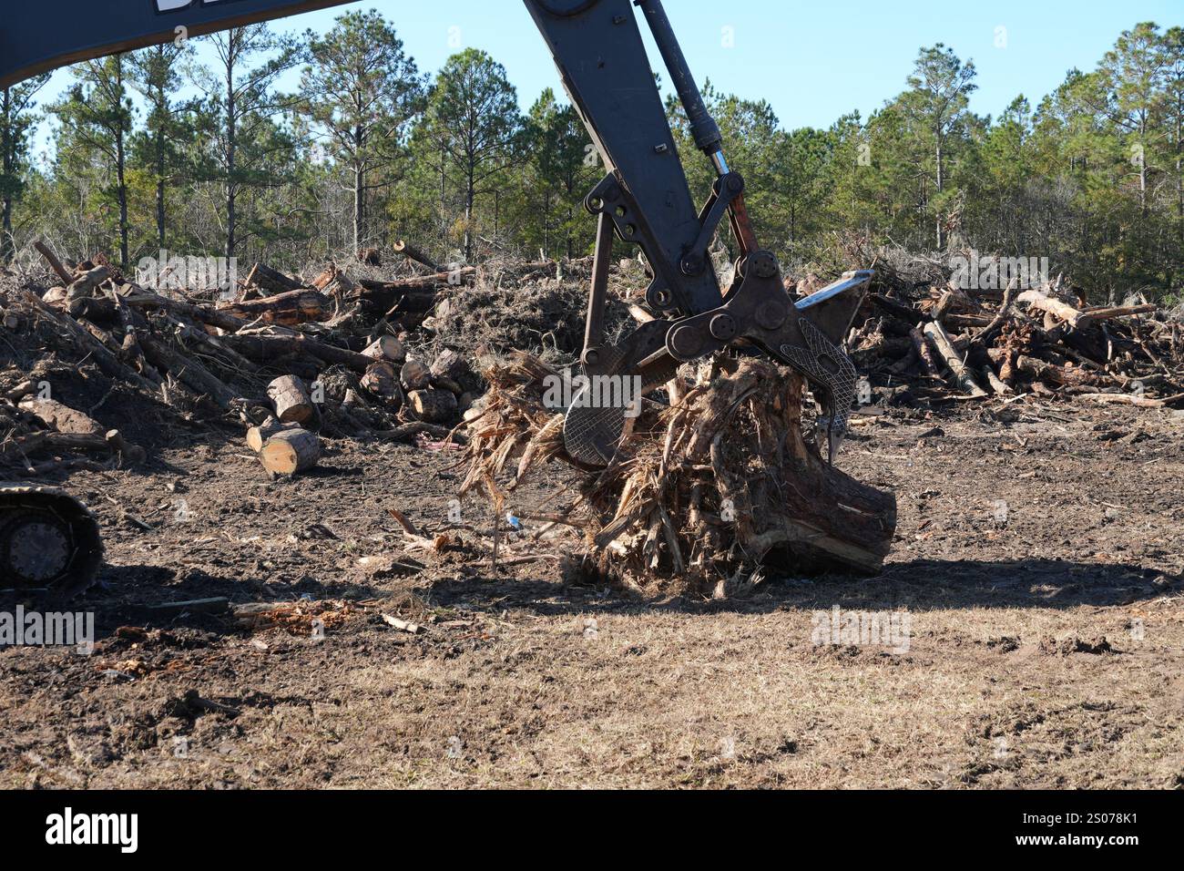 Ein Auftragnehmer des U.S. Army Corps of Engineers (USACE) stapelt Trümmer, die aus dem McIntosh County, Georgia, gesammelt wurden. USACE arbeitet mit lokalen, staatlichen und föderalen Behörden zusammen, um vegetative Trümmer aus zehn Georgia Countys zu entfernen, die von Hurrikan Helene betroffen sind: Ben Hill, Brooks, Candler, Dodge, Jenkins, Laurens, Lowndes, McIntosh, Montgomery und Screven. Stockfoto