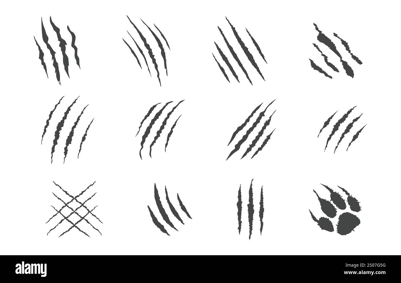 Kralle Kratzer Vektoren, Kralle Kratzer Silhouette, Kralle Mark Silhouette, Kralle Silhouette, Tiger, Katze, Bierkralle Silhouette Stock Vektor