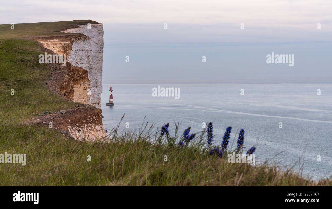 Der Leuchtturm und die Klippen am Beachy Head in der Nähe von Eastbourne, East Sussex, England, Großbritannien Stockfoto