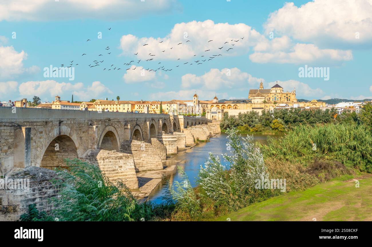 Blick auf Mezquita, Catedral de Cordoba, über die römische Brücke auf dem Fluss Guadalquivir. Eine ehemalige maurische Moschee, die heute die Kathedrale von Cordoba ist. Co Stockfoto