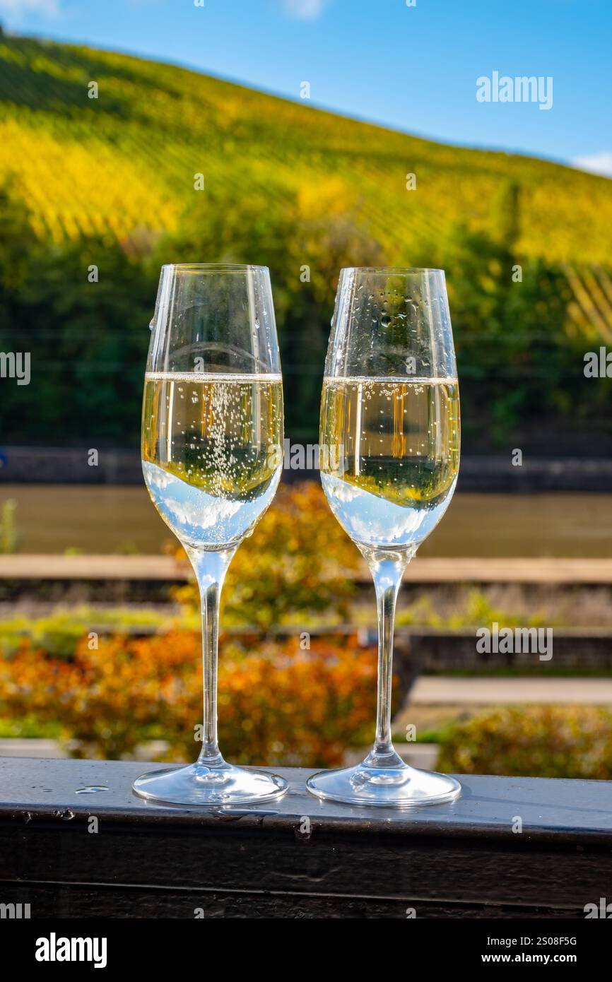 Verkostung von Weißwein, traditionelle Champagnermethode Herstellung von cremant in Höhlen im Moseltal in Luxemburg, Gläser Wein und VI Stockfoto