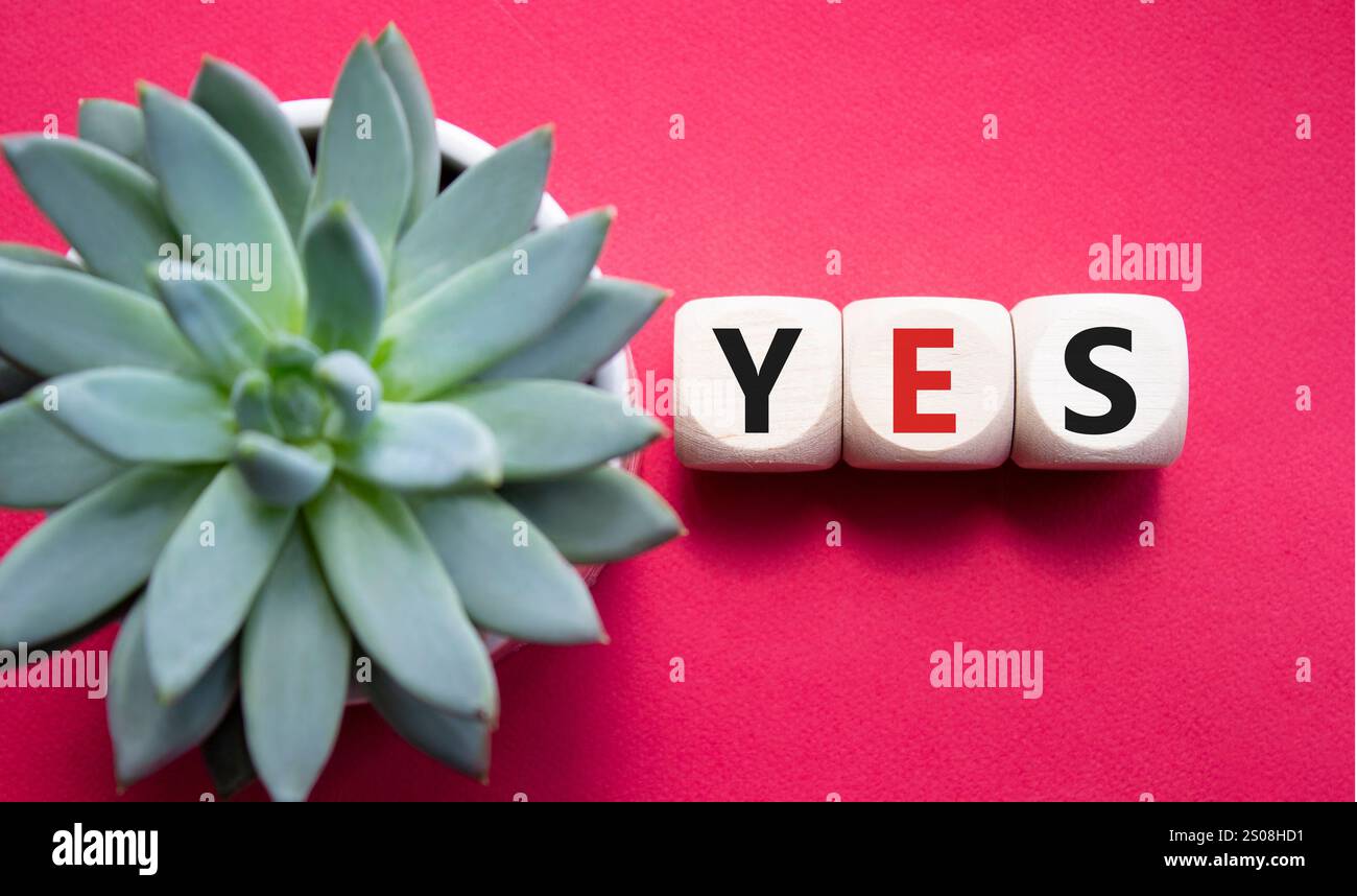 Ja-Symbol. Holzblöcke mit dem Wort Ja. Schöner roter Hintergrund mit saftiger Pflanze. Business und Ja-Konzept. Kopierbereich. Stockfoto