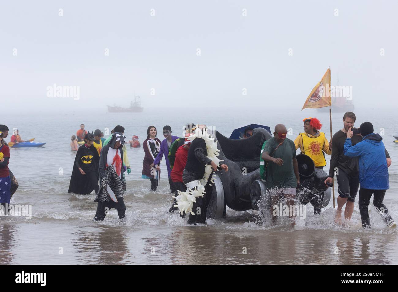 Tenby, Pembrokeshire, West Wales, Großbritannien. 26. Dezember 2024. Starker Nebel heute Morgen, als Hunderte zum jährlichen Weihnachtsfeiertag in Tenby schwimmen. Anrede: Andrew Bartlett/Alamy Live News Stockfoto