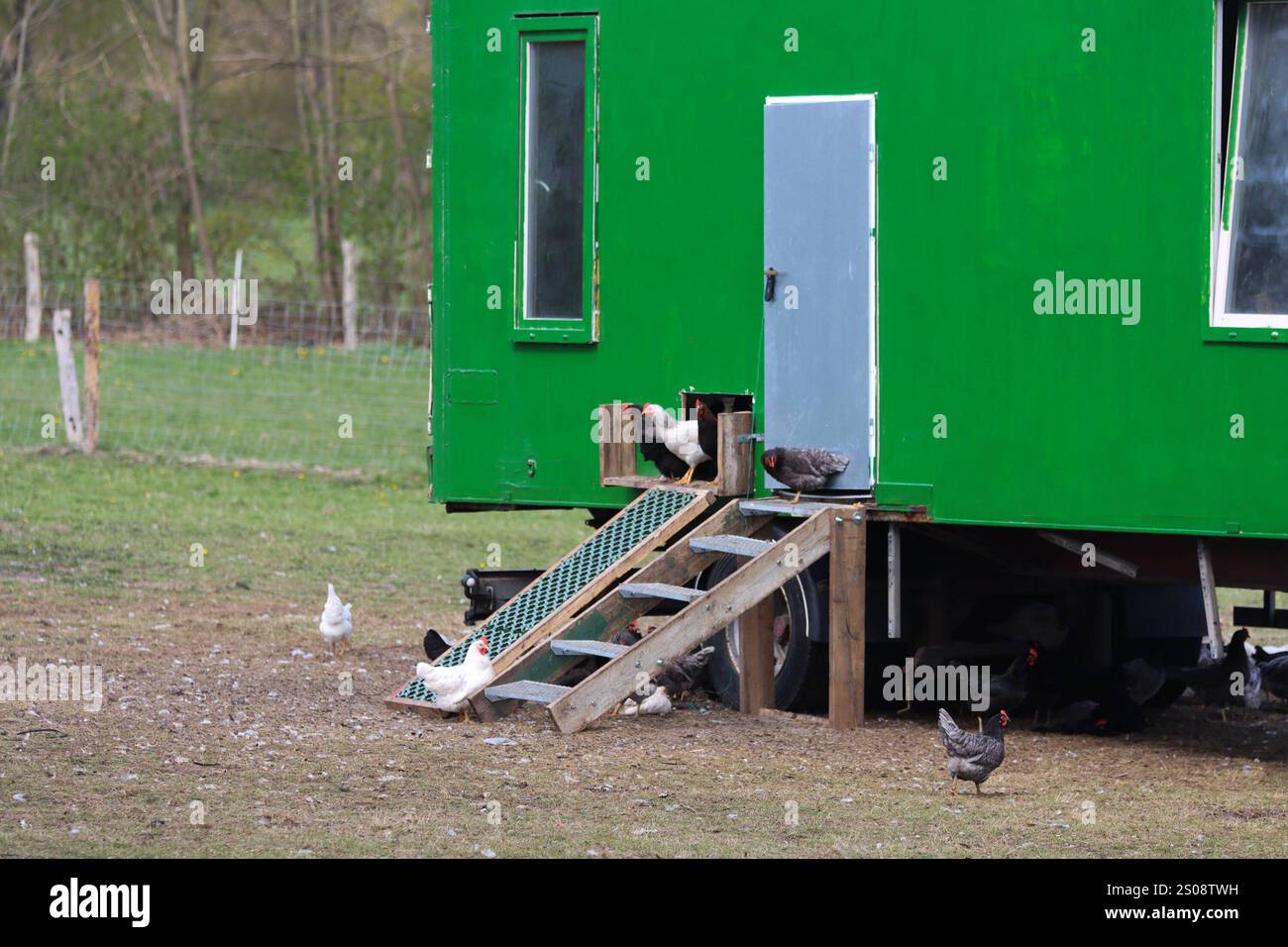 Stockbilder 12/2024 mobiler Hühnerstall für Freilandhühner Henstedt-Ulzburg Schleswig-Holstein Deutschland *** Stockfotos 12 2024 mobiler Hühnerstall für Freilandhühner Henstedt Ulzburg Schleswig Holstein Deutschland Copyright: XLobeca/RalfxHomburgx Stockfoto