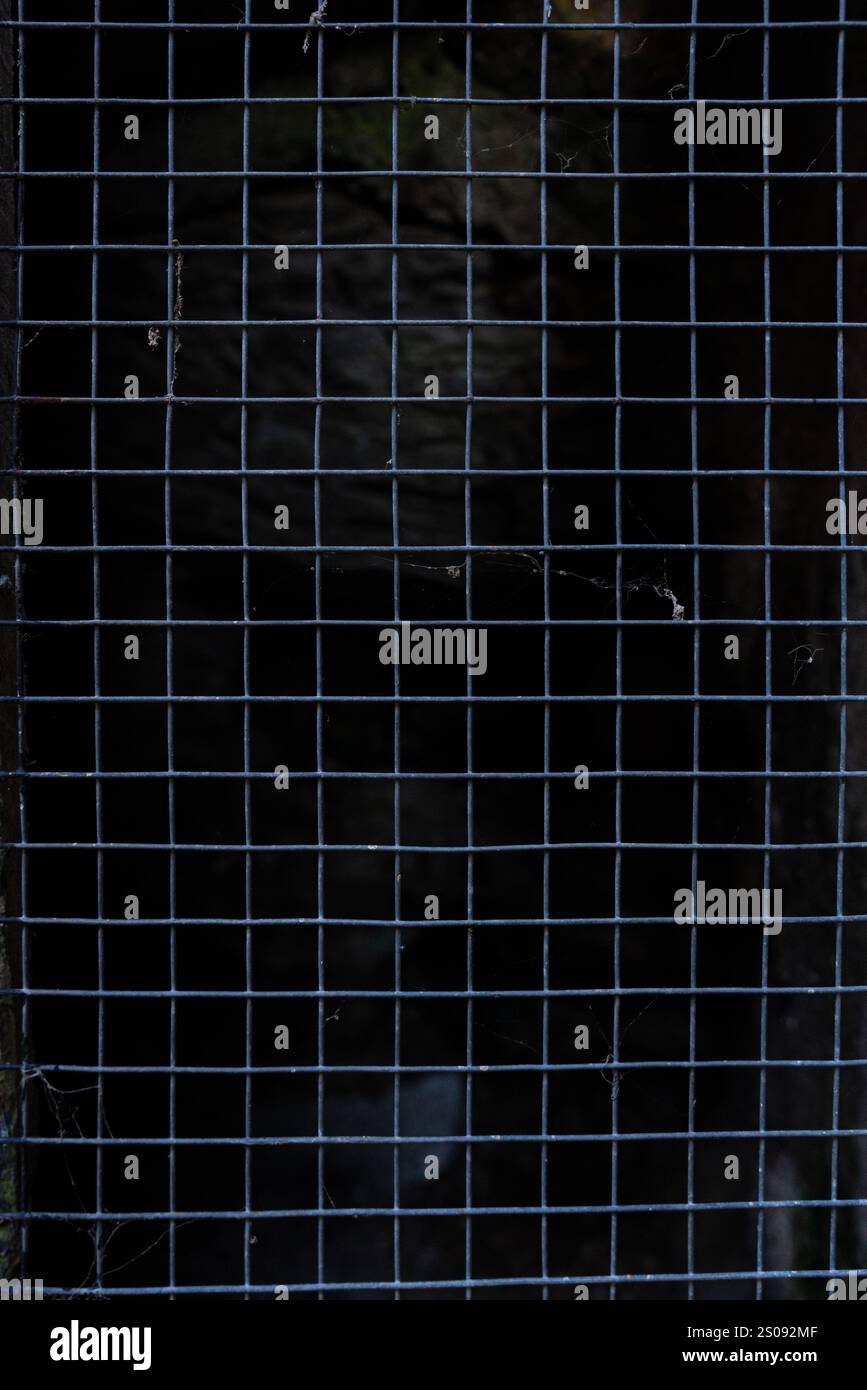 Detail des schwarzen Drahtgitters einer alten Tür. Bild für Hintergründe Stockfoto