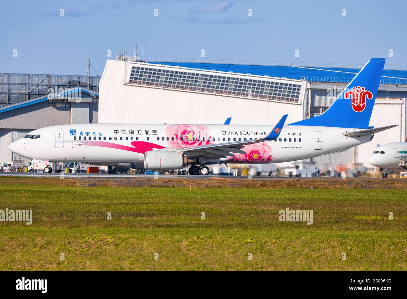 Japan – Tokio, 11. November 2024: China Southern Airlines (Heimatstadt Henan Lackierung) B737 in Narita in Japan Stockfoto