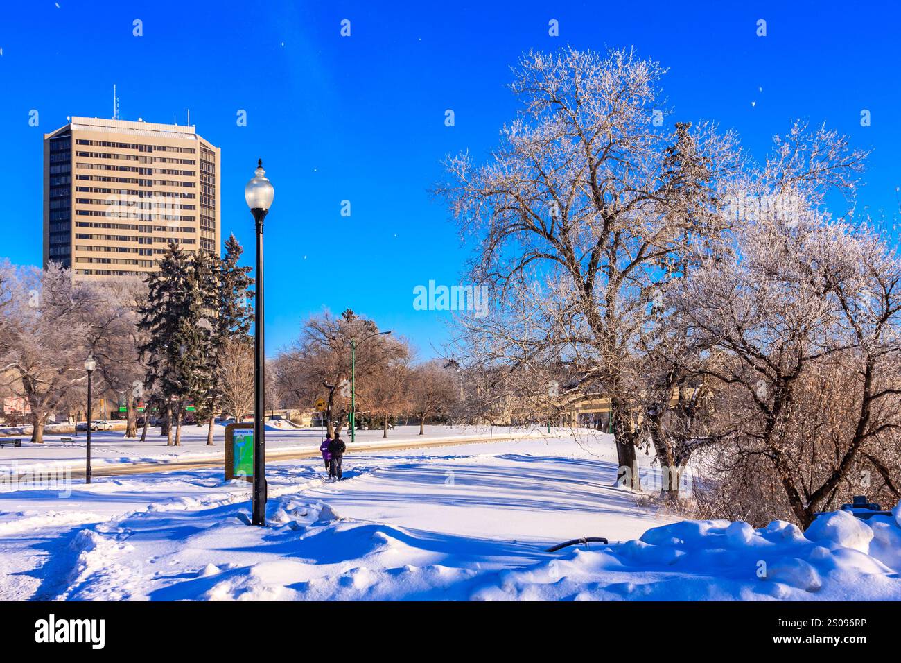 Ein schneebedeckter Park mit einem hohen Gebäude im Hintergrund. Der Himmel ist klar und blau. Eine Person läuft im Schnee Stockfoto