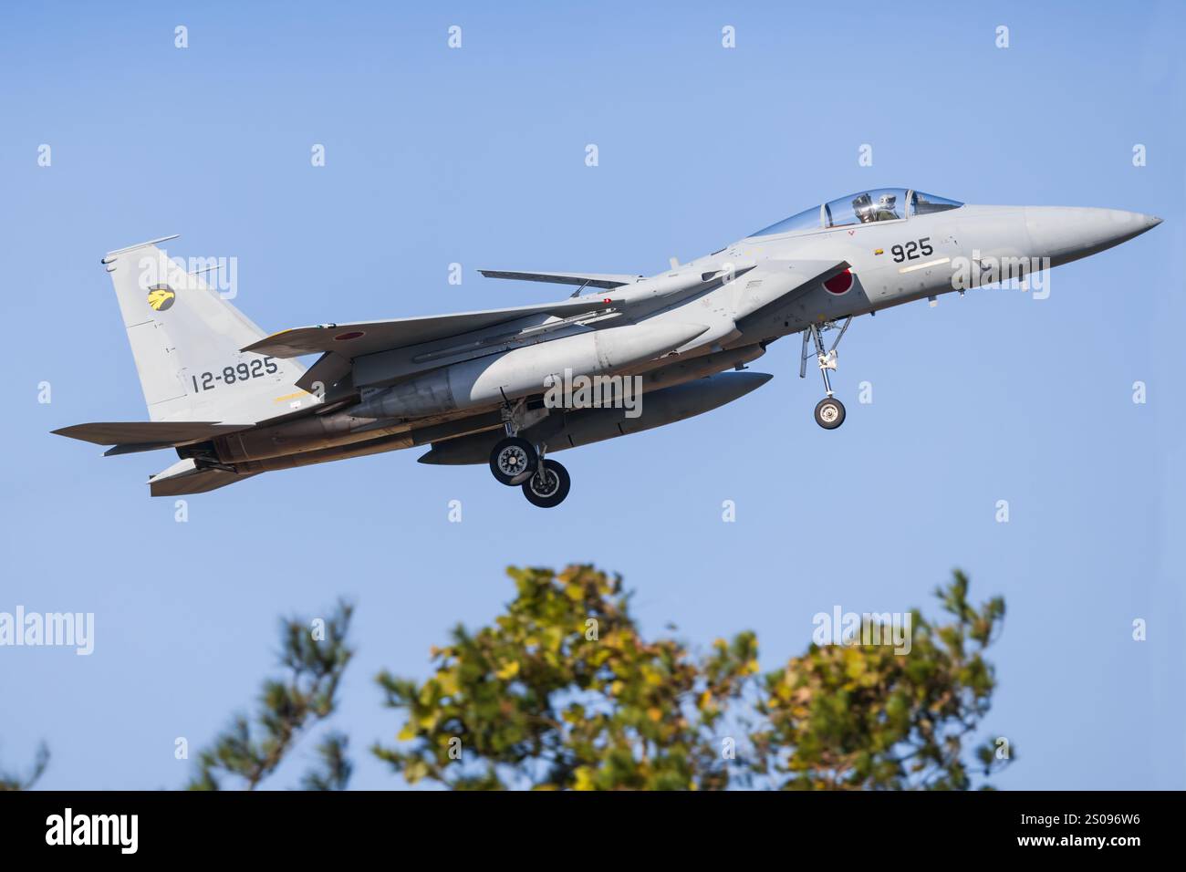 Japan, 14. November 2024: McDonnell Douglas F-15J Eagle auf der Komatsu Air Base in Japan Stockfoto