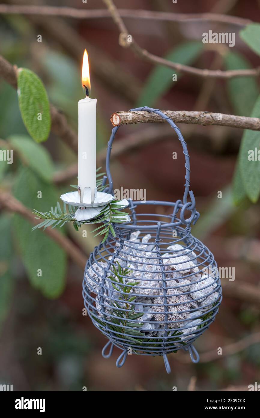weihnachtsdekoration mit einer weißen Kerze und Kegeln im Eierkorb, die am Zweig hängen Stockfoto