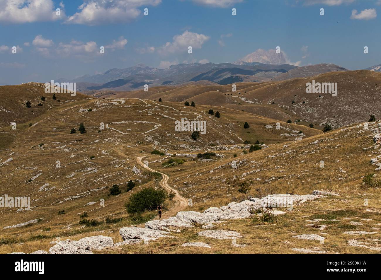 Farbenfrohe Landschaft mit sanften Hügeln unter einem pulsierenden Himmel, mit fernen Bergen, die eine ruhige und majestätische Naturlandschaft schaffen Stockfoto