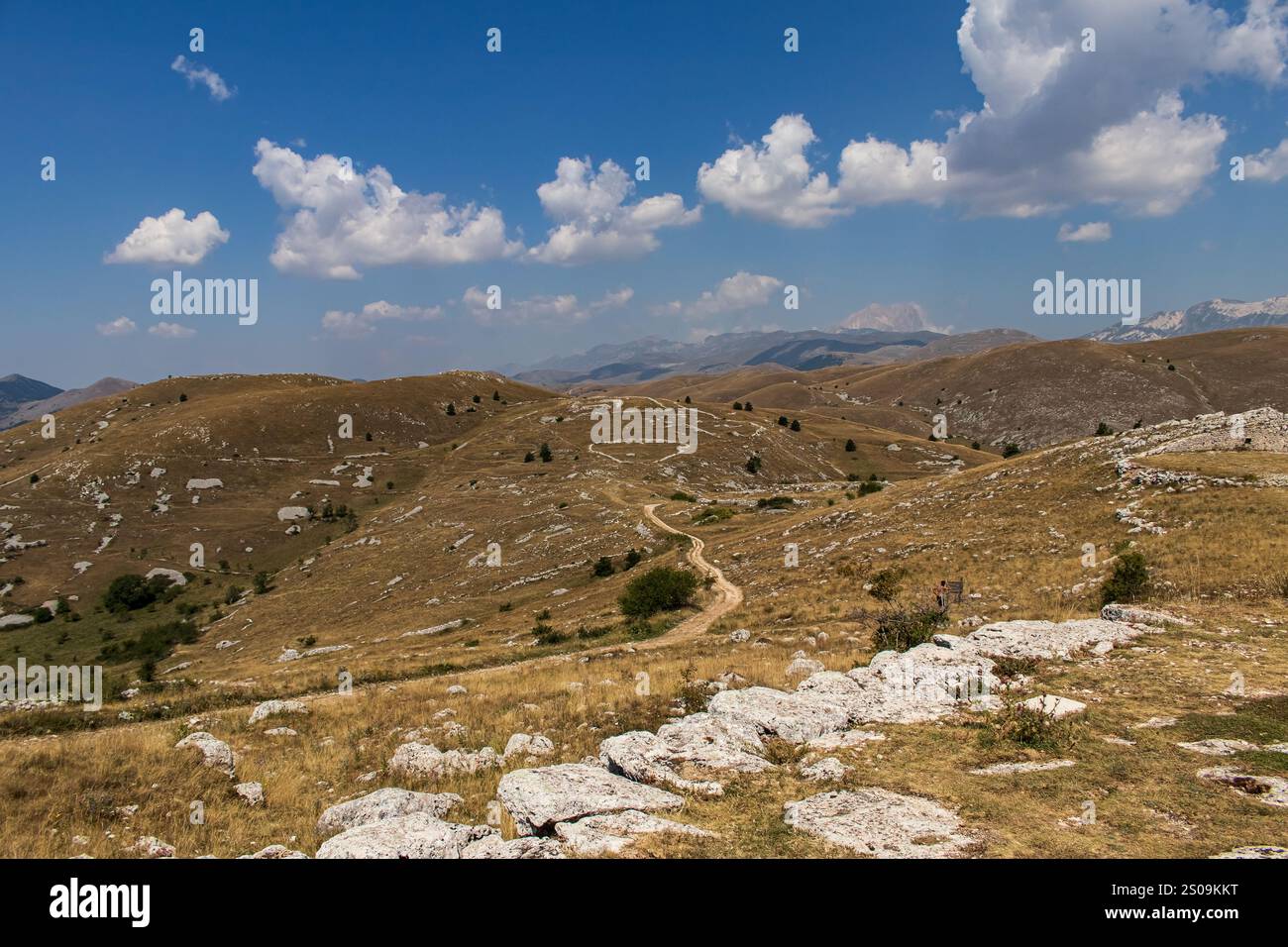 Farbenfrohe Landschaft mit sanften Hügeln unter einem pulsierenden Himmel, mit fernen Bergen, die eine ruhige und majestätische Naturlandschaft schaffen Stockfoto
