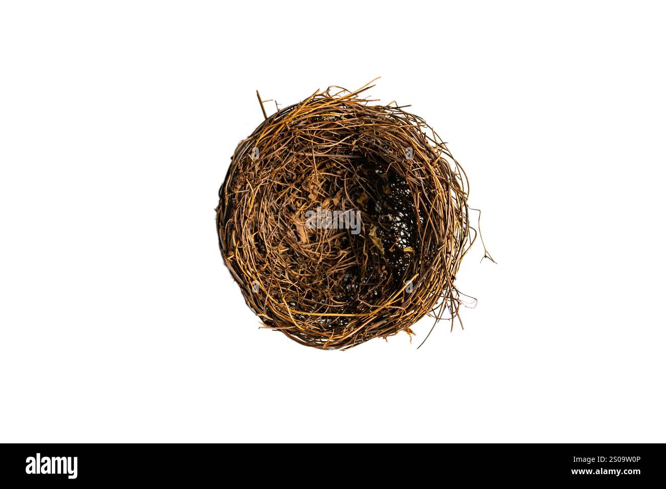 Vogelnest auf weißem Hintergrund. Internationaler Vogeltag. Brutstätte. TAG DES INTERNATIONALEN ERBES Stockfoto