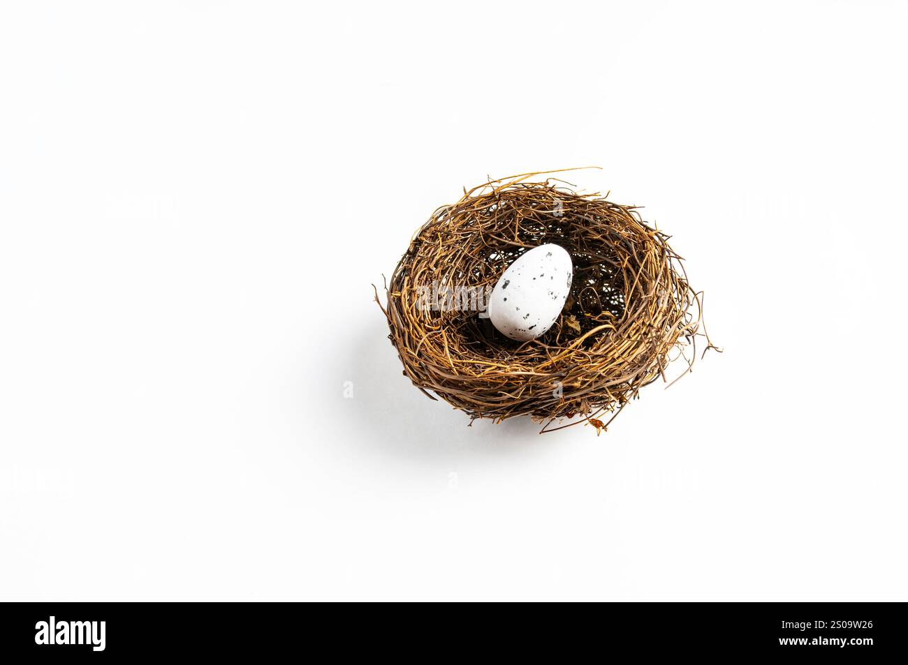 Vogelnest auf weißem Hintergrund. Internationaler Vogeltag. Brutstätte. TAG DES INTERNATIONALEN ERBES Stockfoto