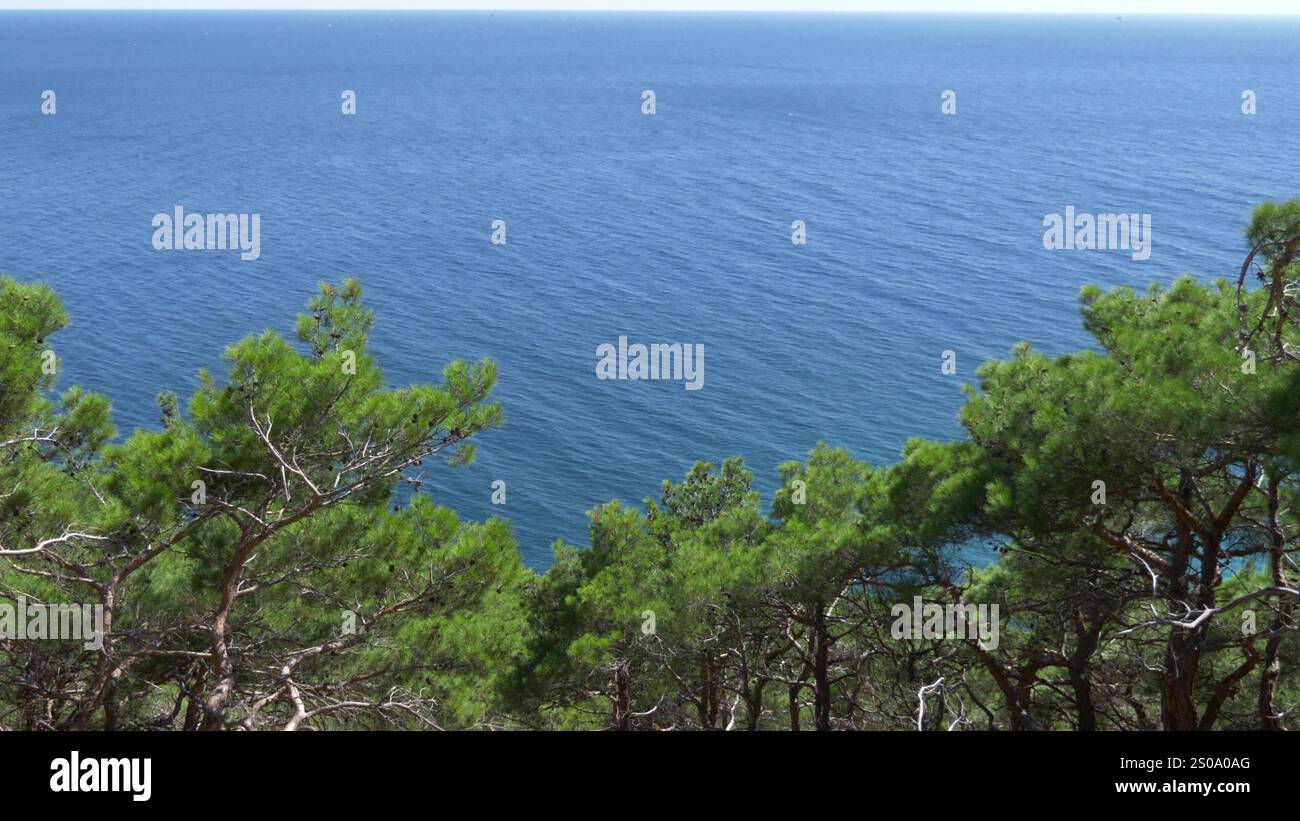 Schwarzmeerküste eines wilden Strandes in der Nähe des Kap Idokopas, nicht weit vom berühmten geheimen Palast Putins, ländliche Gegend des Gemeindekurortes G Stockfoto